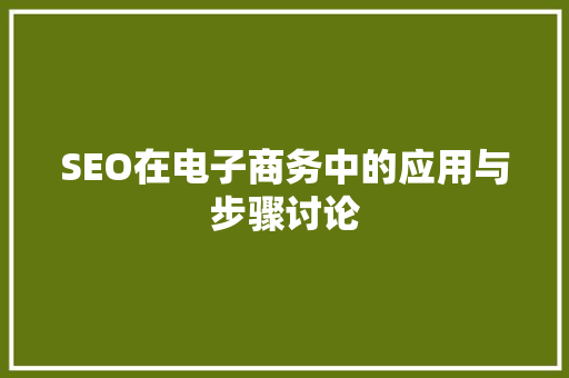 SEO在电子商务中的应用与步骤讨论  第1张