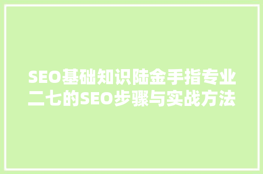 SEO基础知识陆金手指专业二七的SEO步骤与实战方法