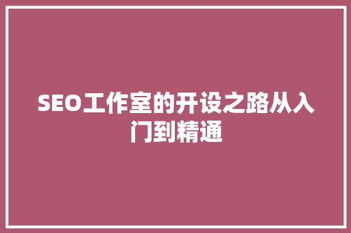 SEO工作室的开设之路从入门到精通  第1张