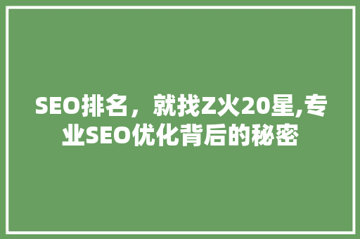 SEO排名，就找Z火20星,专业SEO优化背后的秘密