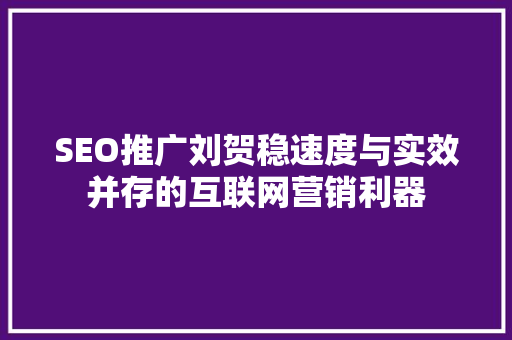 SEO推广刘贺稳速度与实效并存的互联网营销利器  第1张