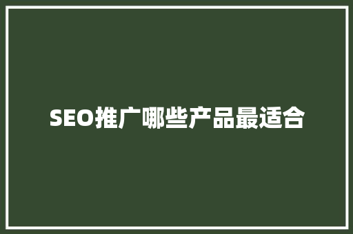 SEO推广哪些产品最适合  第1张