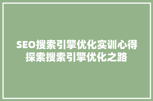 SEO搜索引擎优化实训心得探索搜索引擎优化之路  第1张