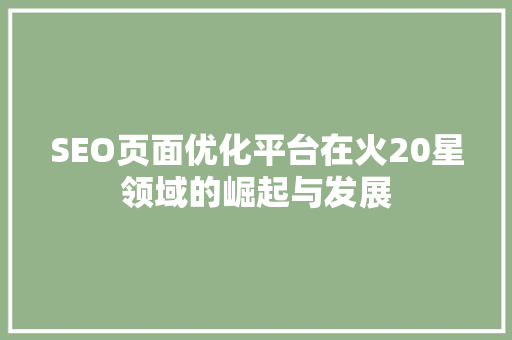 SEO页面优化平台在火20星领域的崛起与发展