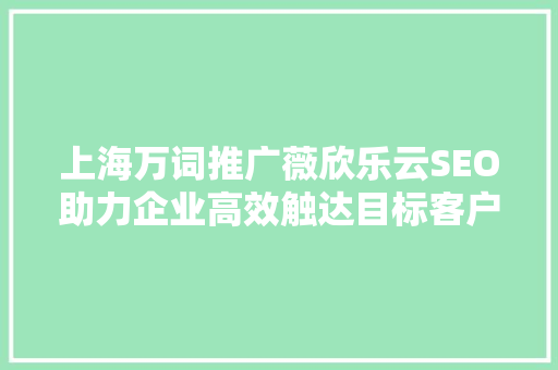 上海万词推广薇欣乐云SEO助力企业高效触达目标客户，开启数字营销新篇章  第1张
