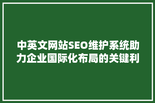 中英文网站SEO维护系统助力企业国际化布局的关键利器  第1张