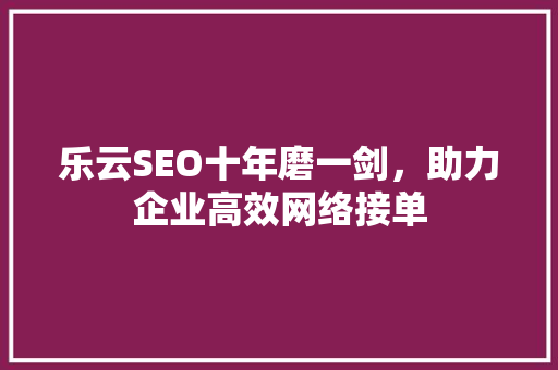 乐云SEO十年磨一剑，助力企业高效网络接单