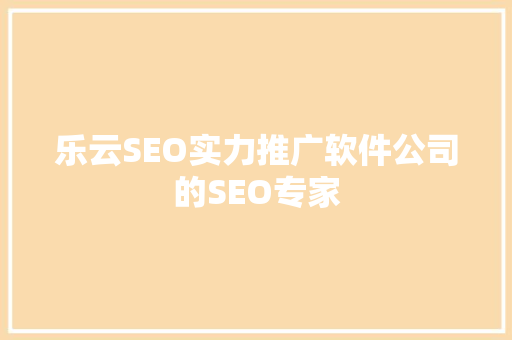 乐云SEO实力推广软件公司的SEO专家