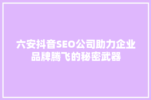 六安抖音SEO公司助力企业品牌腾飞的秘密武器