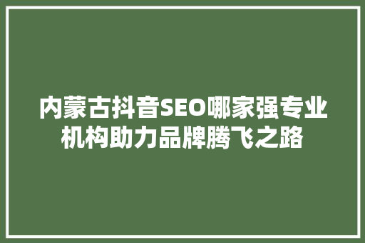 内蒙古抖音SEO哪家强专业机构助力品牌腾飞之路