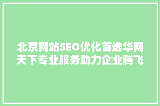 北京网站SEO优化首选华网天下专业服务助力企业腾飞  第1张