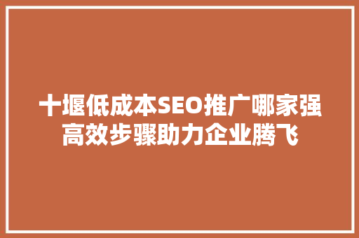 十堰低成本SEO推广哪家强高效步骤助力企业腾飞  第1张
