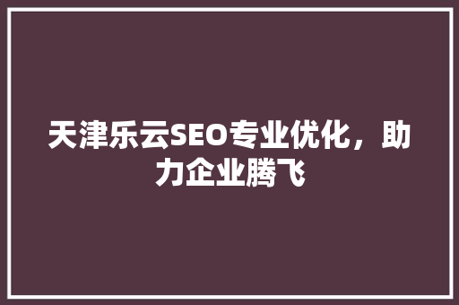 天津乐云SEO专业优化，助力企业腾飞