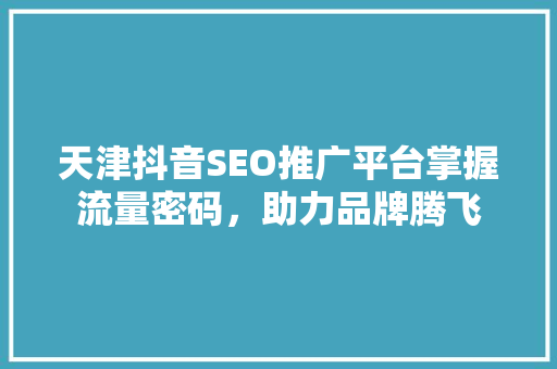 天津抖音SEO推广平台掌握流量密码，助力品牌腾飞