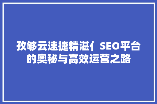 孜够云速捷精湛亻SEO平台的奥秘与高效运营之路