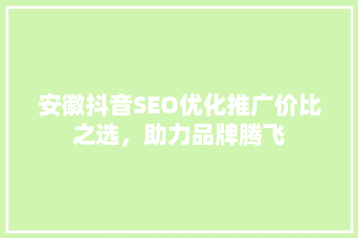 安徽抖音SEO优化推广价比之选，助力品牌腾飞