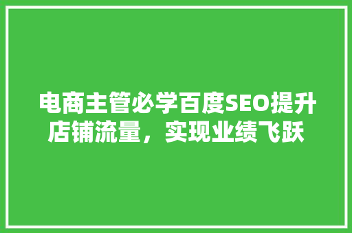电商主管必学百度SEO提升店铺流量，实现业绩飞跃