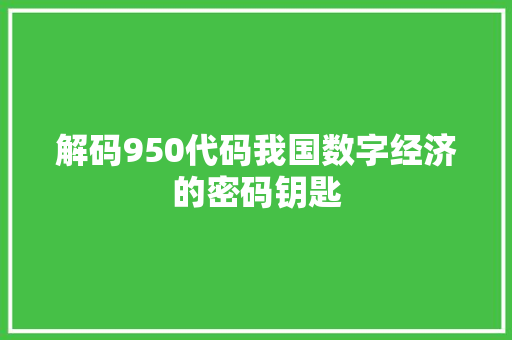 解码950代码我国数字经济的密码钥匙
