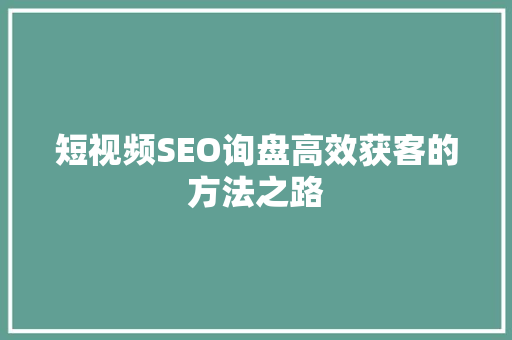 短视频SEO询盘高效获客的方法之路