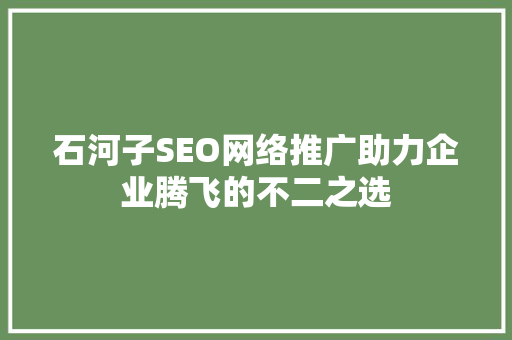 石河子SEO网络推广助力企业腾飞的不二之选
