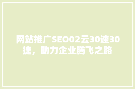网站推广SEO02云30速30捷，助力企业腾飞之路