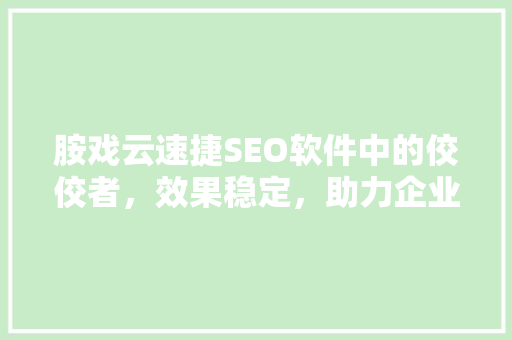 胺戏云速捷SEO软件中的佼佼者，效果稳定，助力企业快速提升排名
