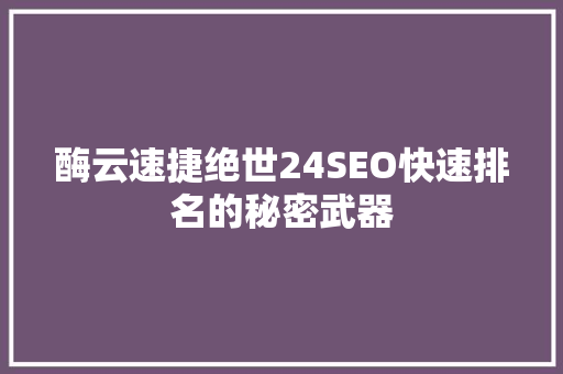 酶云速捷绝世24SEO快速排名的秘密武器