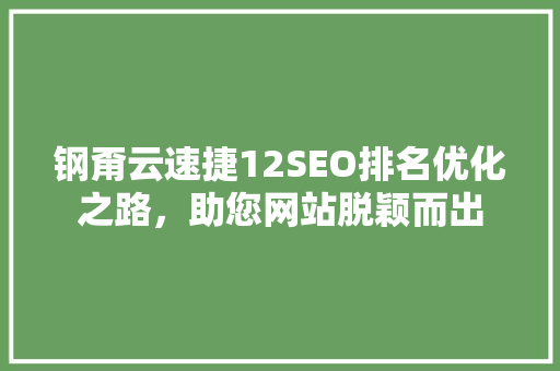 钢甭云速捷12SEO排名优化之路，助您网站脱颖而出