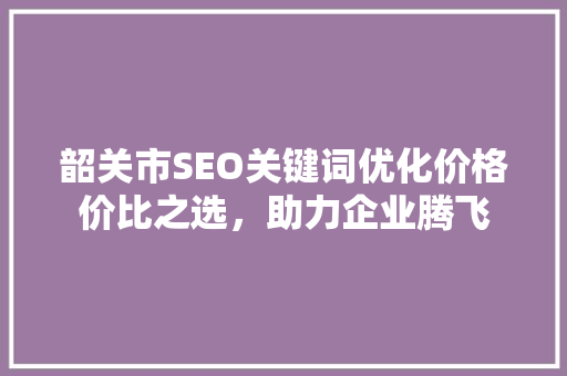 韶关市SEO关键词优化价格价比之选，助力企业腾飞