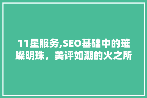 11星服务,SEO基础中的璀璨明珠，美评如潮的火之所在
