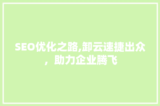 SEO优化之路,卸云速捷出众，助力企业腾飞