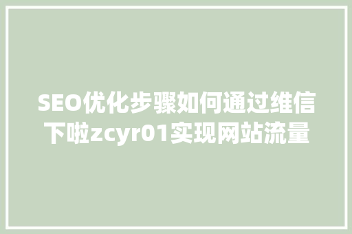 SEO优化步骤如何通过维信下啦zcyr01实现网站流量增长