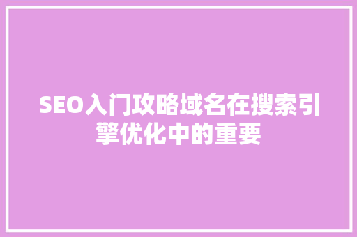SEO入门攻略域名在搜索引擎优化中的重要