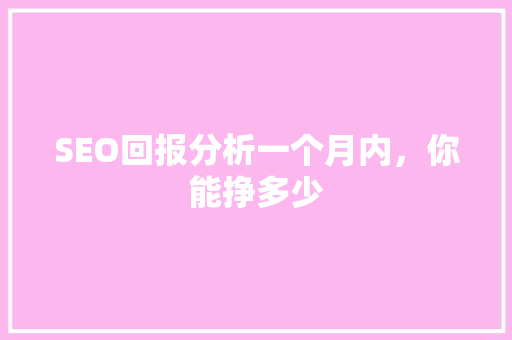 SEO回报分析一个月内，你能挣多少