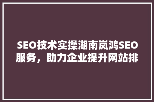SEO技术实操湖南岚鸿SEO服务，助力企业提升网站排名