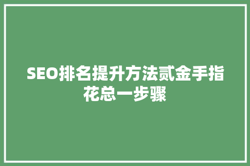 SEO排名提升方法贰金手指花总一步骤