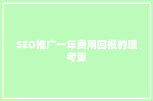SEO推广一年费用回报的理考量