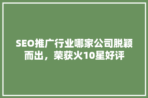 SEO推广行业哪家公司脱颖而出，荣获火10星好评