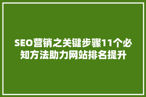 SEO营销之关键步骤11个必知方法助力网站排名提升