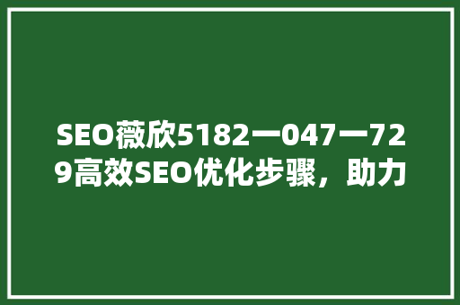 SEO薇欣5182一047一729高效SEO优化步骤，助力企业腾飞