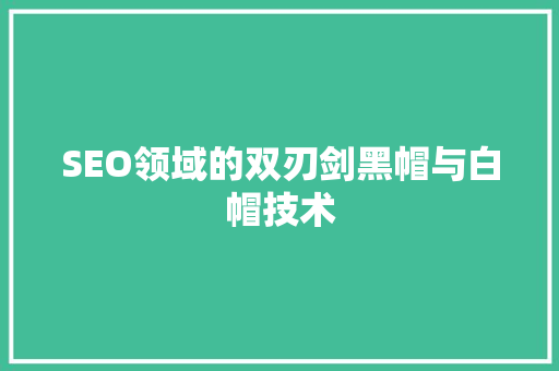 SEO领域的双刃剑黑帽与白帽技术
