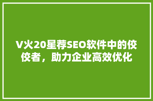 V火20星荐SEO软件中的佼佼者，助力企业高效优化