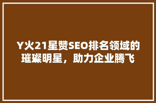 Y火21星赞SEO排名领域的璀璨明星，助力企业腾飞