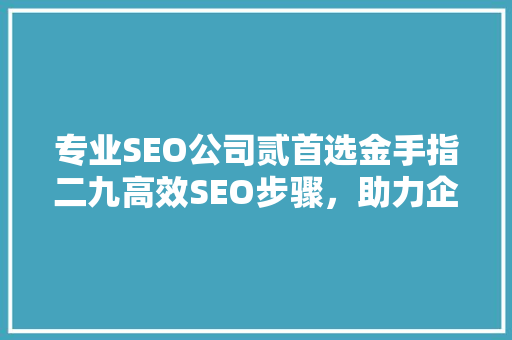 专业SEO公司贰首选金手指二九高效SEO步骤，助力企业网站优化