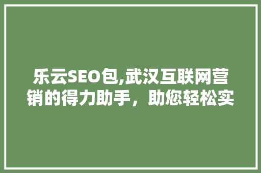 乐云SEO包,武汉互联网营销的得力助手，助您轻松实现满意优化