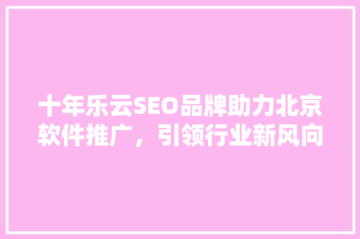 十年乐云SEO品牌助力北京软件推广，引领行业新风向