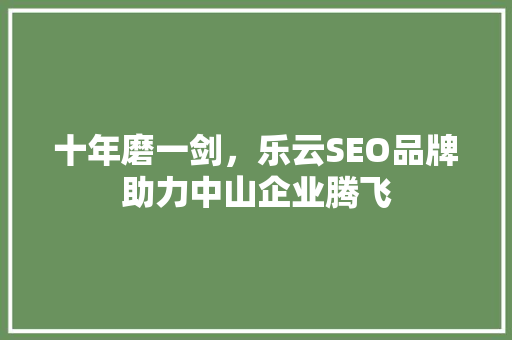 十年磨一剑，乐云SEO品牌助力中山企业腾飞