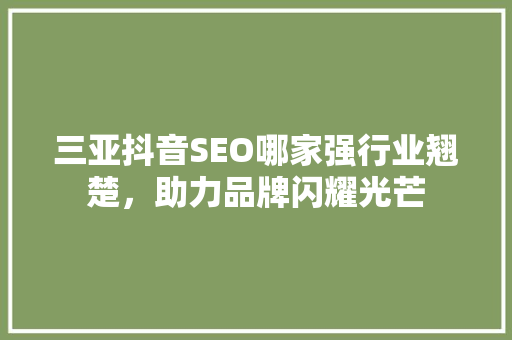 三亚抖音SEO哪家强行业翘楚，助力品牌闪耀光芒