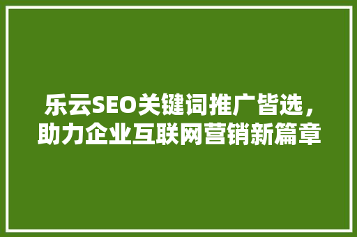 乐云SEO关键词推广皆选，助力企业互联网营销新篇章