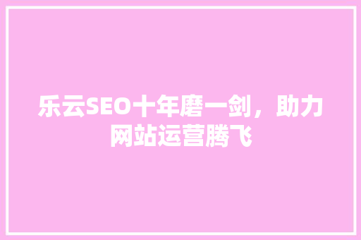 乐云SEO十年磨一剑，助力网站运营腾飞